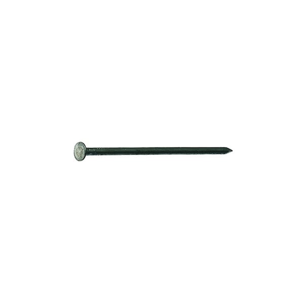 Grip-Rite Common Nail, 3-1/2 in L, 16D, Steel, Bright Finish, 10 ga 16BX - main